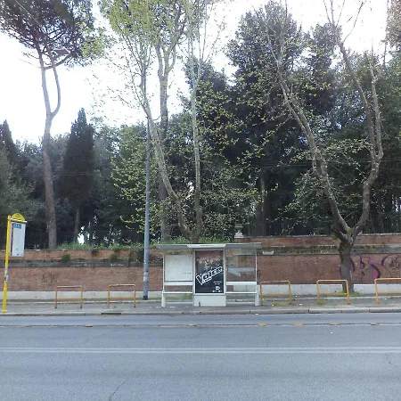 Cultroma Roof Garden Roma